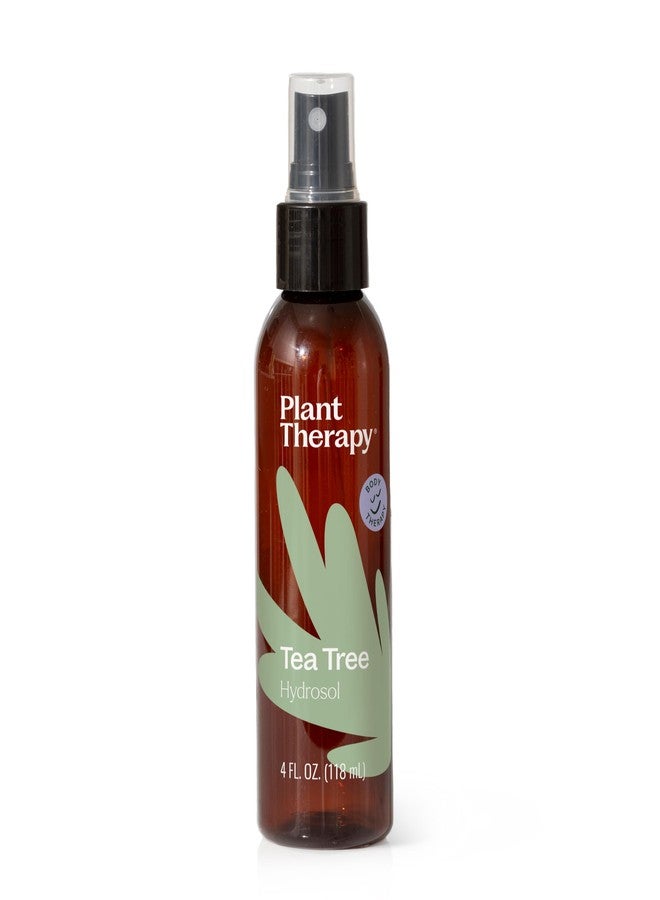 Plant Therapy Tea Tree (Melaleuca) Hydrosol 4 oz by-Product of Essential Oils - Image 1